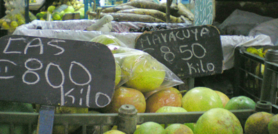 Costa Rica Fruits an Vegetables